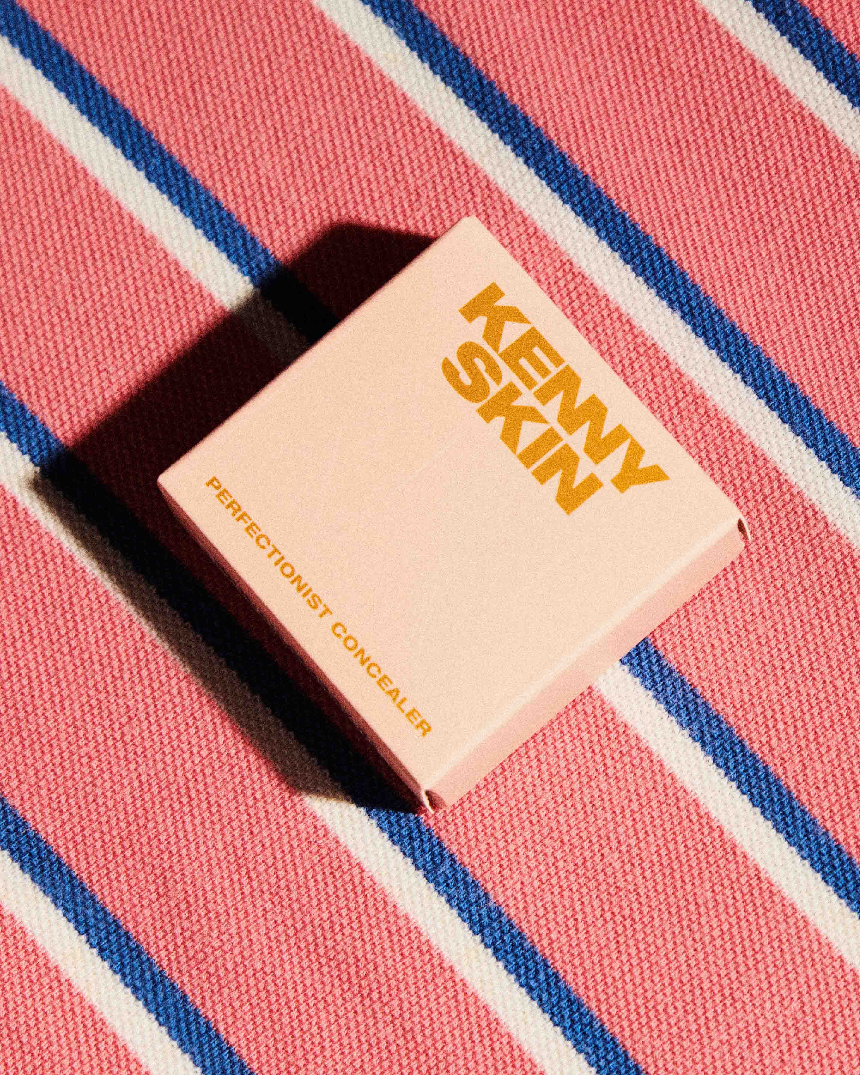 KENNY SKIN Perfectionist Concealer Fair