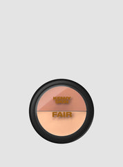 KENNY SKIN Perfectionist Concealer Fair